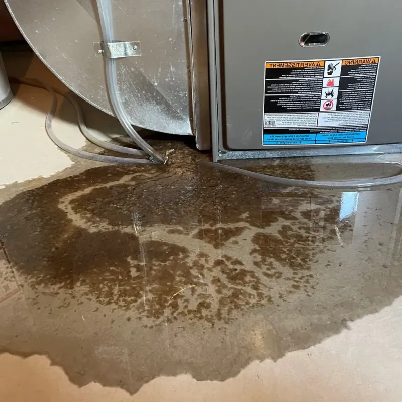 Pipe Burst and Leak Restoration in Shepherdsville, KY