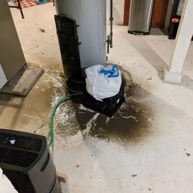 Sewage Backup Cleanup Service in Shepherdsville, KY